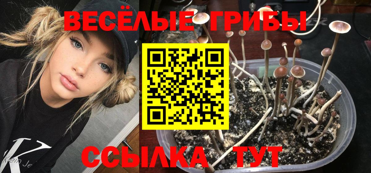 Галлюциногенные грибы GOLDEN TEACHER Кандалакша